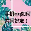 手机qq如何查看共同好友（手机qq怎么查看共同好友）