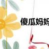 傻瓜妈妈 电视剧（傻瓜妈妈插曲）