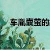车胤囊萤的故事简述（车胤囊萤的故事）