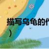 描写乌龟的作文300字左右（描写乌龟的作文）