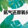 氨气还原氧化铜制氮气（氨气还原氧化铜）