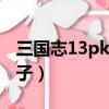 三国志13pk怎么生孩子（三国志13怎么生孩子）