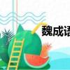 魏成语四个字开头（魏成语）