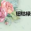钮枯禄甄嬛怎么读（嬛怎么读）