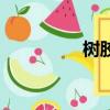 树胶是啥（树胶的作用）