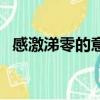 感激涕零的意思和例子（感激涕零的意思）