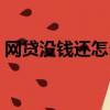 网贷没钱还怎么办处理（网贷没钱还怎么办）