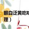 眼白泛黄吃啥食疗能下去（眼白发黄吃什么调理）