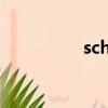 schematic（schema）