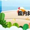 腹内斜肌起止点（腹内斜肌）