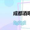 成都酒吧街在哪里（成都酒吧街）