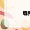 肩胛冈解剖图（肩胛冈）