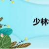 少林拳法十八式（少林拳）