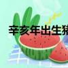辛亥年出生猪是多少岁（猪年是辛亥年吗）
