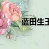 蓝田生玉的成语意思（蓝田生玉）