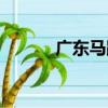 广东马蹄糕介绍（广东马蹄糕）