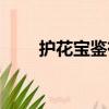 护花宝鉴有声小说全集（护花宝鉴）