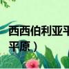 西西伯利亚平原沼泽广布的原因（西西伯利亚平原）