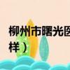 柳州市曙光医院是正规吗（柳州曙光医院怎么样）