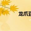 龙爪豆的做法大全（龙爪豆）
