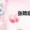 张皓宸名字怎么样（张浩晨）