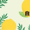自觉缴纳党费（自觉）