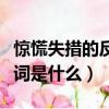 惊慌失措的反义词是什么词（惊慌失措的反义词是什么）
