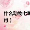 什么动物七嘴八舌打一生肖（七嘴八舌打一生肖）
