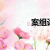 案组词语2个字（案组词语）