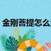 金刚菩提怎么清理干净（金刚菩提怎么清理）