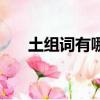 土组词有哪些一年级（土组词有哪些）