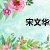 宋文华武术冠军（宋文华身高）