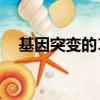 基因突变的10大征兆（基因突变的原因）