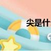 尖是什么结构（采是什么结构）
