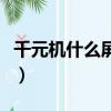 千元机什么屏幕最好（千元全面屏手机哪个好）