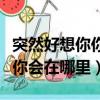 突然好想你你会在哪里是什么歌（突然好想你你会在哪里）