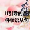 if引导的条件状语从句主将从现（if引导的条件状语从句）