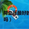 降血压最好的一味中药（复方丹参片能降血压吗）