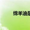 绵羊油是从哪里提取的（绵羊油）