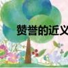 赞誉的近义词是什么?（赞誉的近义词）
