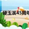 硬玉溪45周年多少钱（软玉溪45周年价格）