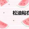 松油粘在衣服上怎么去掉（松油）