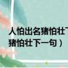 人怕出名猪怕壮下一句歇后语是什么野鸡怕凤凰（人怕出名猪怕壮下一句）