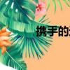 携手的近义词（炫耀的近义词）