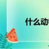 什么动物吃蟑螂（什么吃蟑螂）