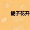 栀子花开歌曲原唱（栀子花开歌词）