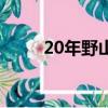 20年野山参（30年野山参多少钱）