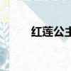 红莲公主真实存在吗（红莲公主）