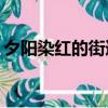 夕阳染红的街道第一季（夕阳染红的街道cg）