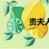 贵夫人官网（贵夫人狗图片）